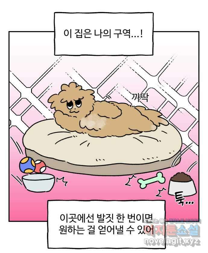 강아지는 멍멍하고 짖지 않아! 79화 - ㅇㅏㄴ녕! 9