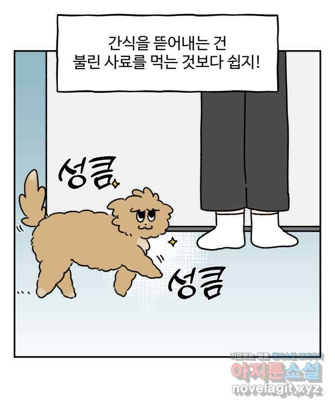강아지는 멍멍하고 짖지 않아! 79화 - ㅇㅏㄴ녕! 11