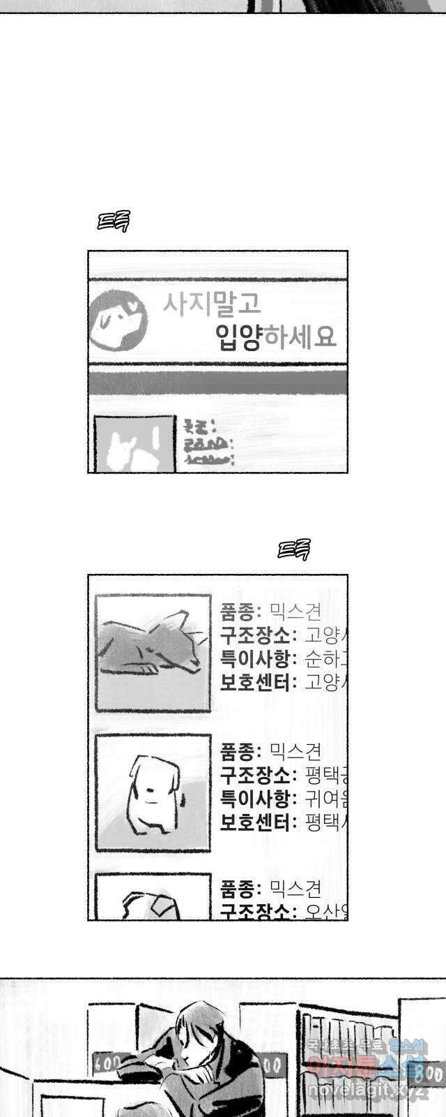 박제하는 시간 13. 되짚고 추적한다 9