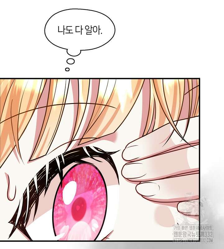 프린세스 플레이어 33화 21