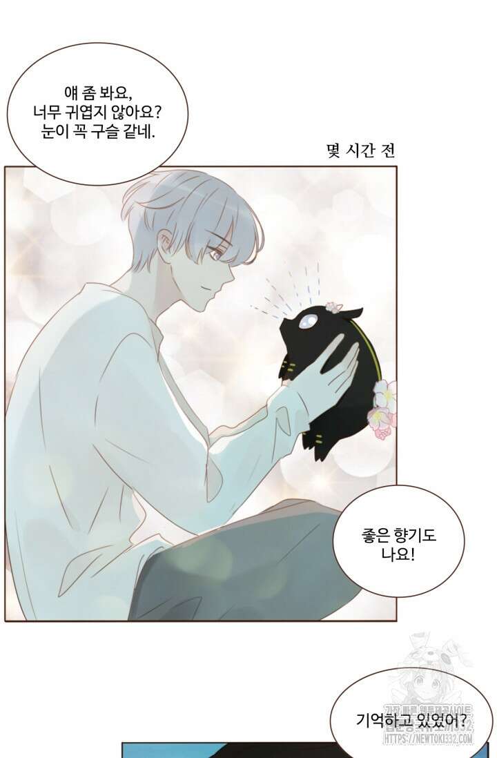 완벽한 개새끼 27화 6