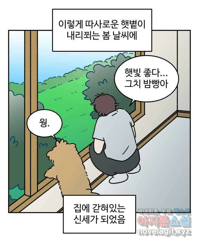 강아지는 멍멍하고 짖지 않아! 83화 - 봄날의 불청객 13