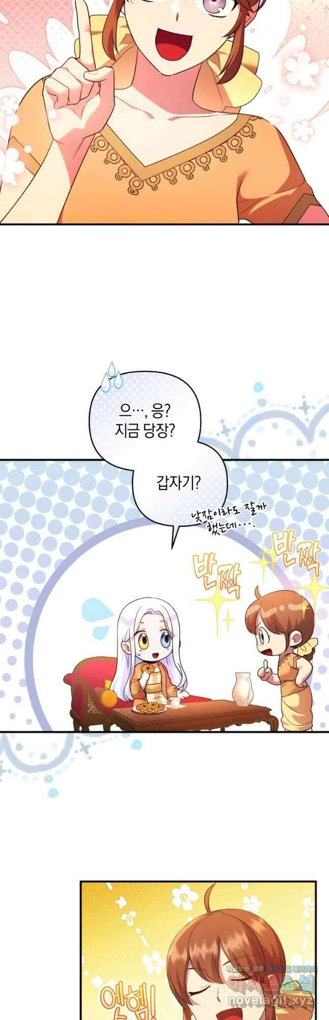 술탄의 귀한 고양이가 되었습니다 49화 5