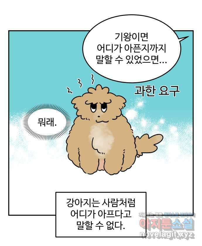 강아지는 멍멍하고 짖지 않아! 84화 - 꾀병의 진실 3
