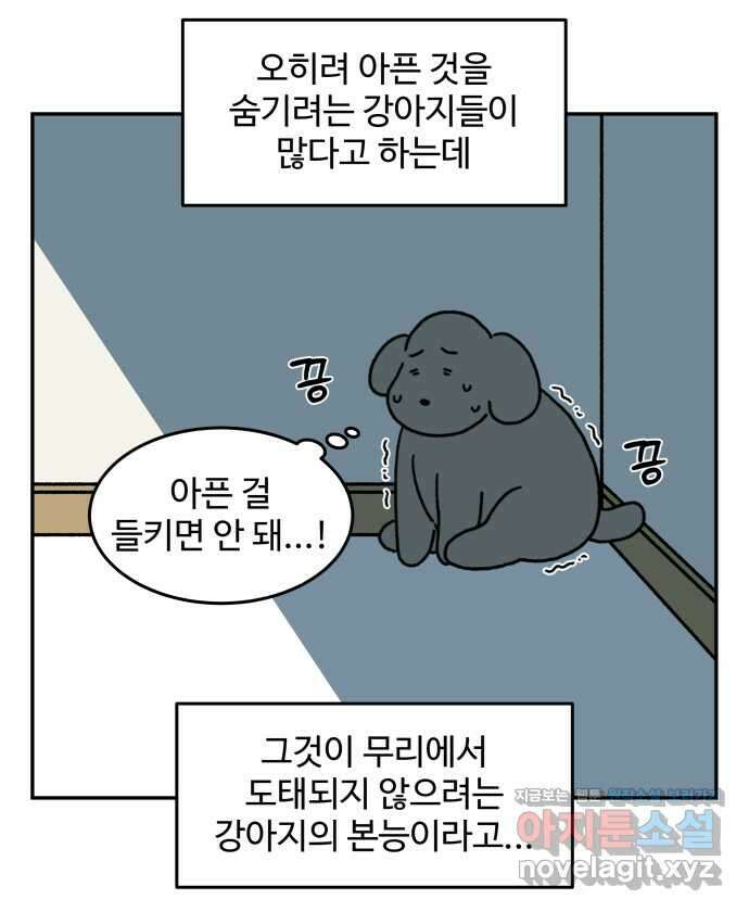 강아지는 멍멍하고 짖지 않아! 84화 - 꾀병의 진실 4