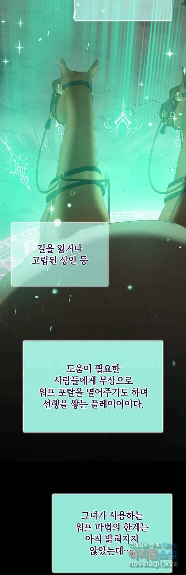 만렙 플레이어 56화 12