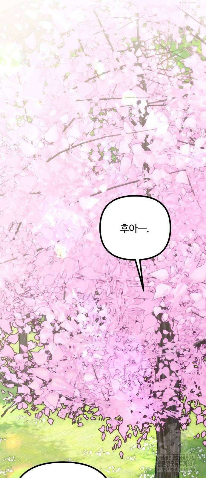 꽃이 삼킨 짐승 13화 2