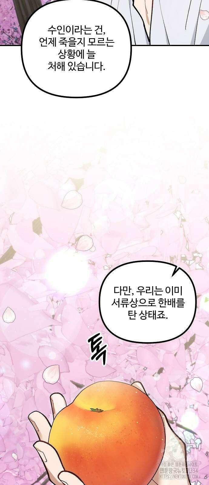 꽃이 삼킨 짐승 13화 34