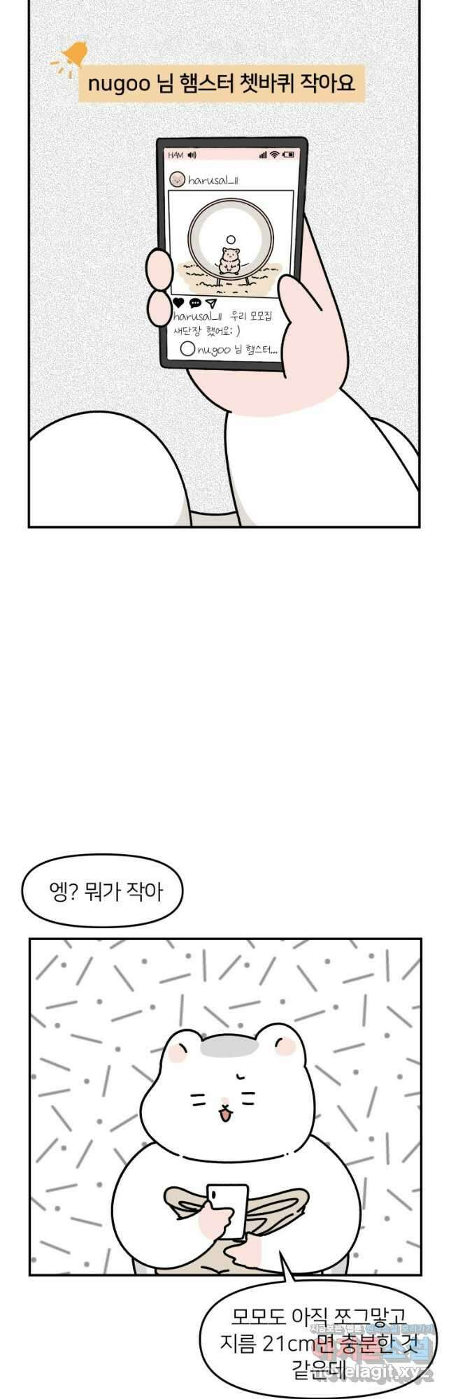 어쩌다 햄스터 7. 햄스터와 쳇바퀴 7