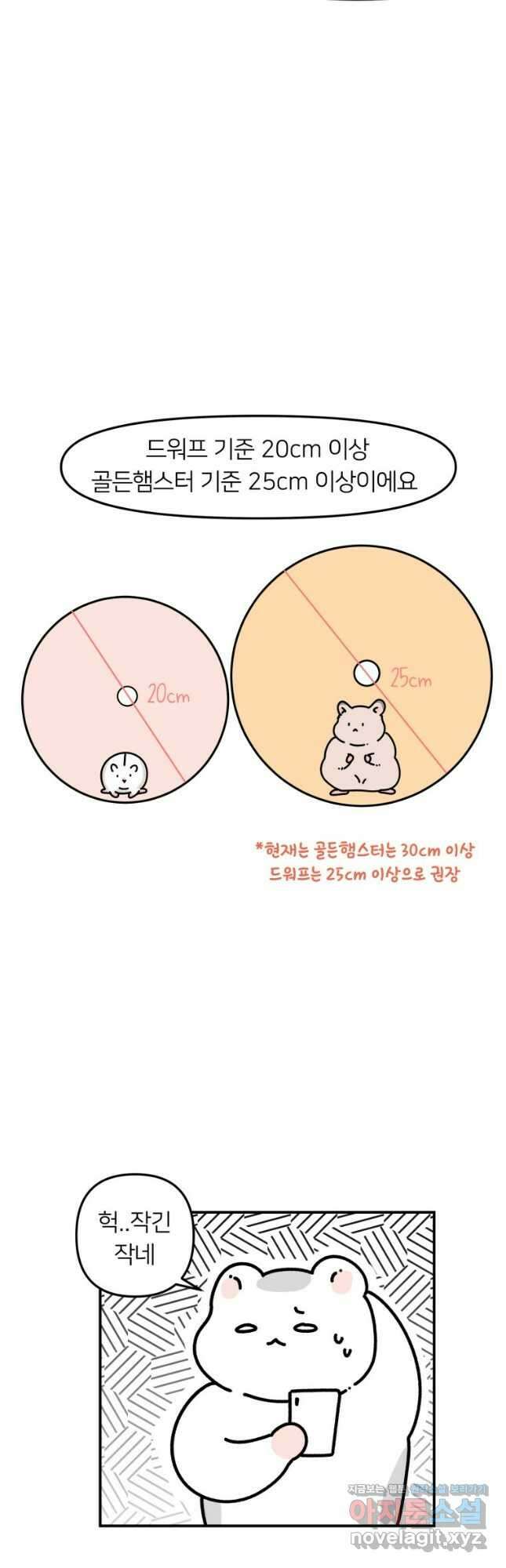 어쩌다 햄스터 7. 햄스터와 쳇바퀴 8