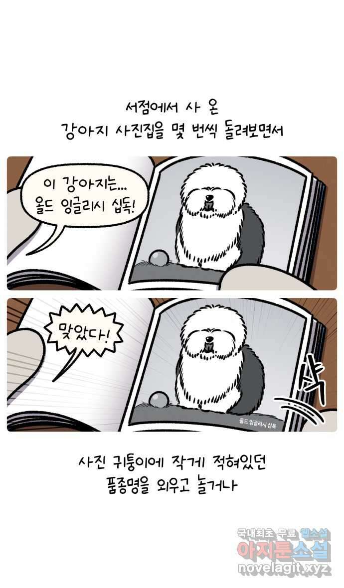 안녕, 나의 수집 137. 액션 카메라 (1) 2