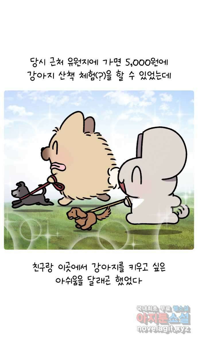 안녕, 나의 수집 137. 액션 카메라 (1) 3