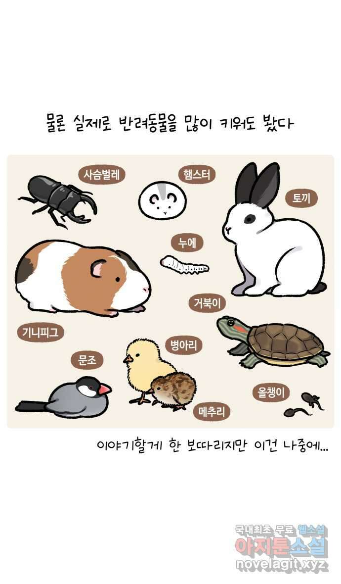 안녕, 나의 수집 137. 액션 카메라 (1) 4