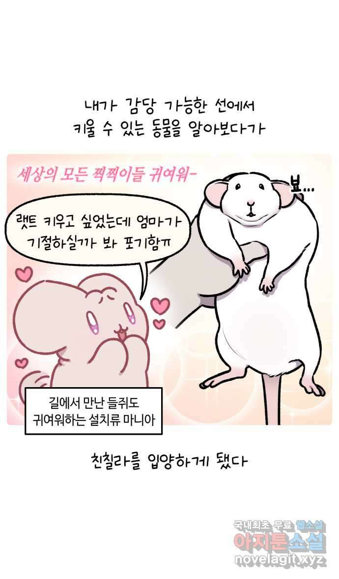 안녕, 나의 수집 137. 액션 카메라 (1) 8