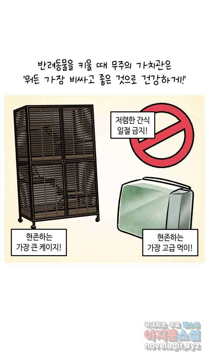 안녕, 나의 수집 137. 액션 카메라 (1) 10