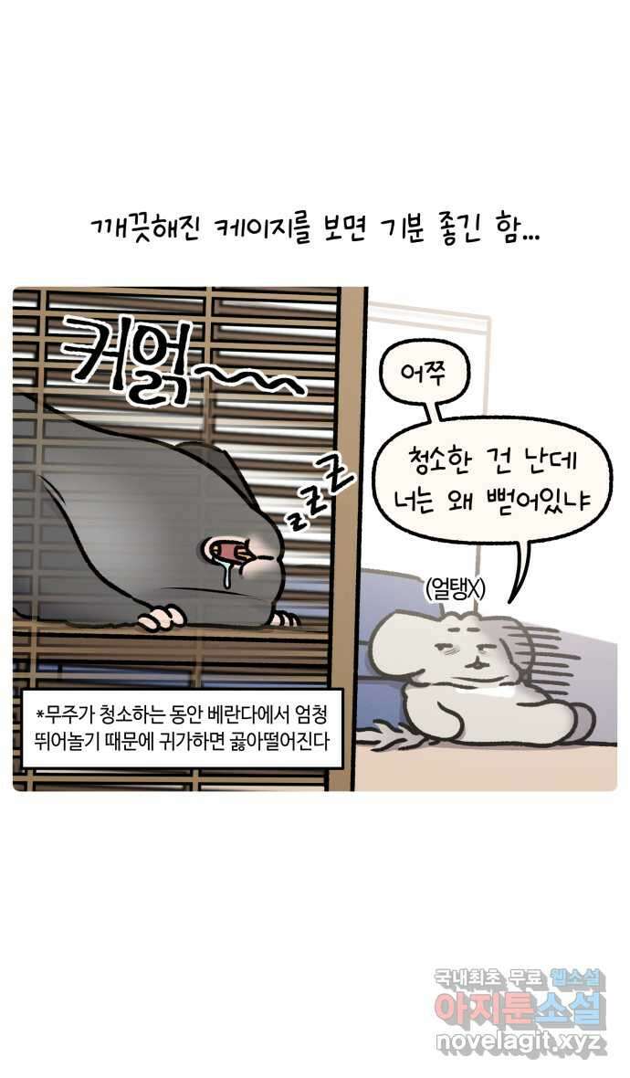 안녕, 나의 수집 137. 액션 카메라 (1) 15