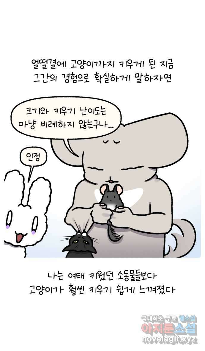 안녕, 나의 수집 137. 액션 카메라 (1) 16