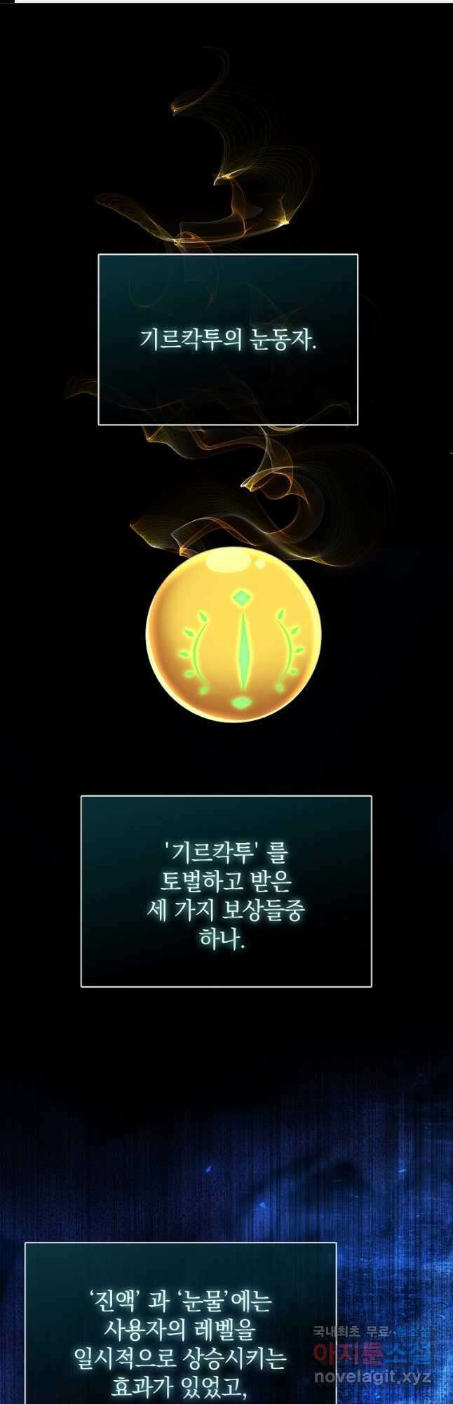 만렙 플레이어 57화 1