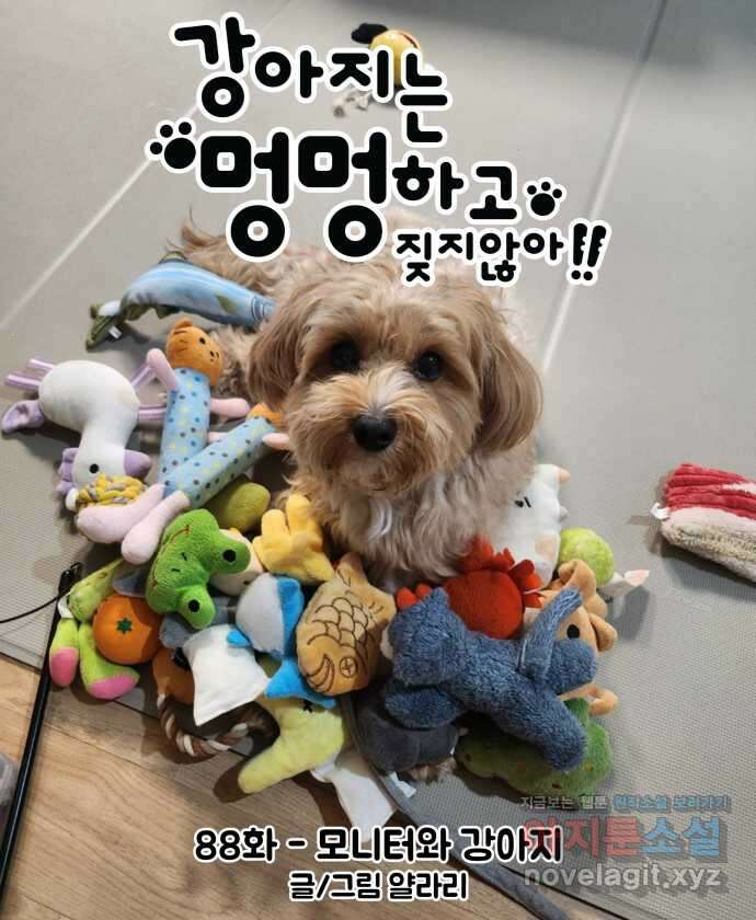 강아지는 멍멍하고 짖지 않아! 88화 - 모니터와 강아지 7