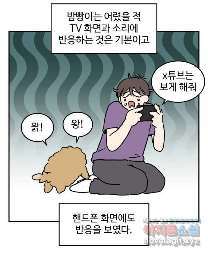 강아지는 멍멍하고 짖지 않아! 88화 - 모니터와 강아지 9