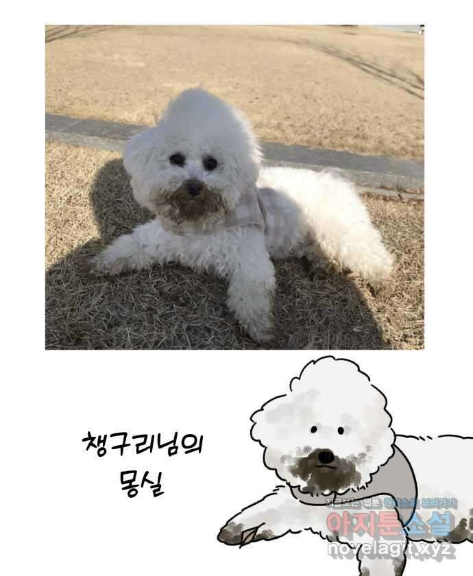 강아지는 멍멍하고 짖지 않아! 88화 - 모니터와 강아지 24