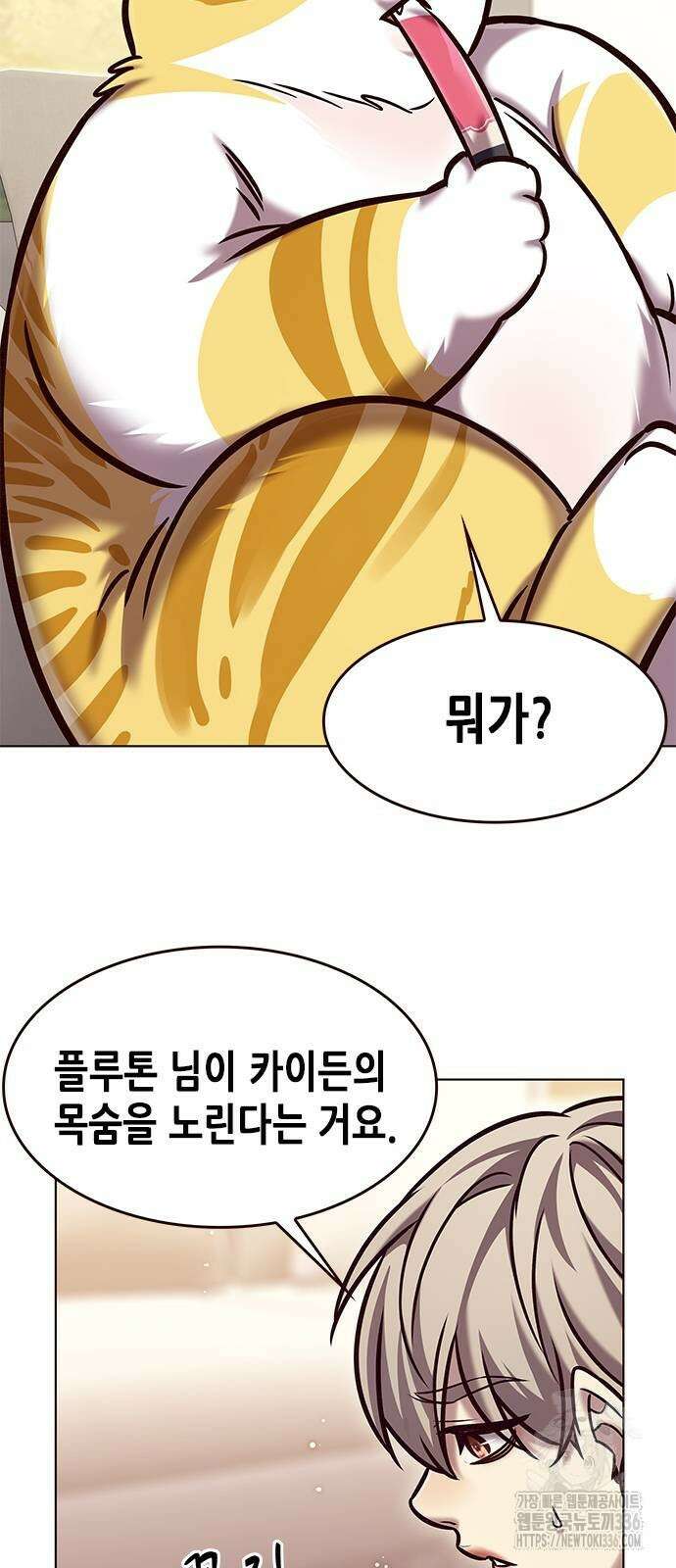 일렉시드 295화 8