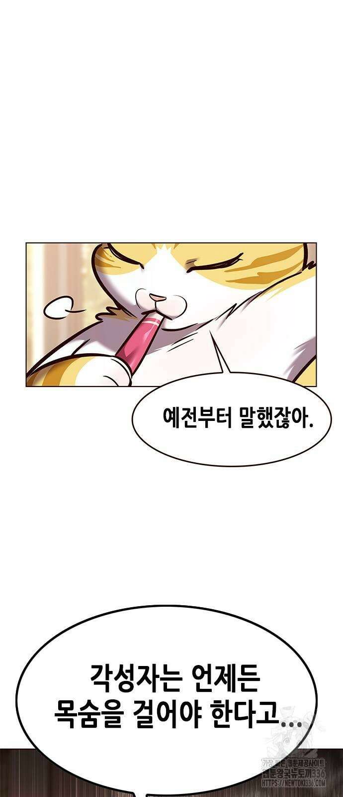 일렉시드 295화 12