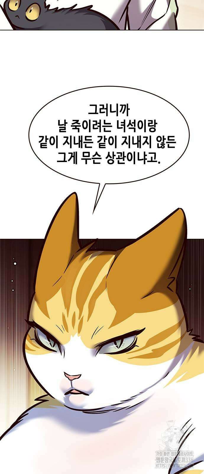 일렉시드 295화 15