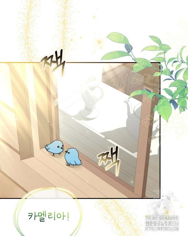 홍차 정원의 귀한 아가씨입니다 11화 23