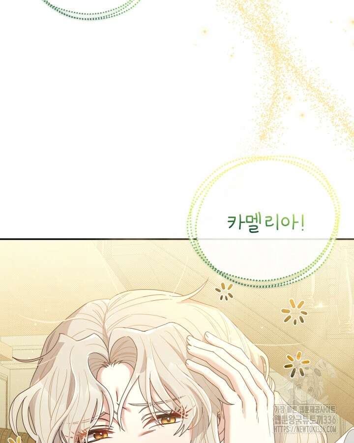 홍차 정원의 귀한 아가씨입니다 11화 24