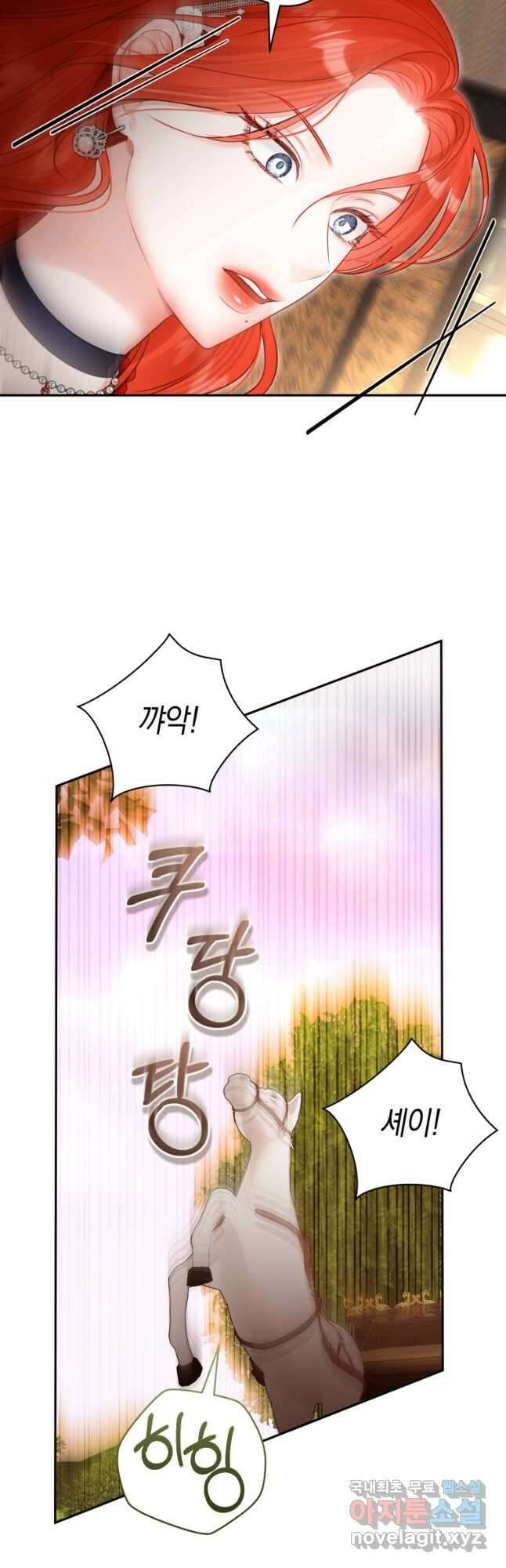 그 대공의 화려한 결혼은 사기 52화 11