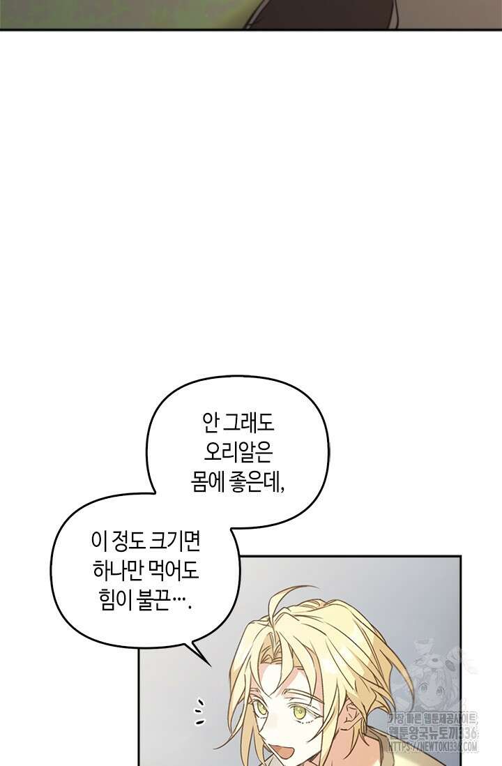 레가스 35화 5