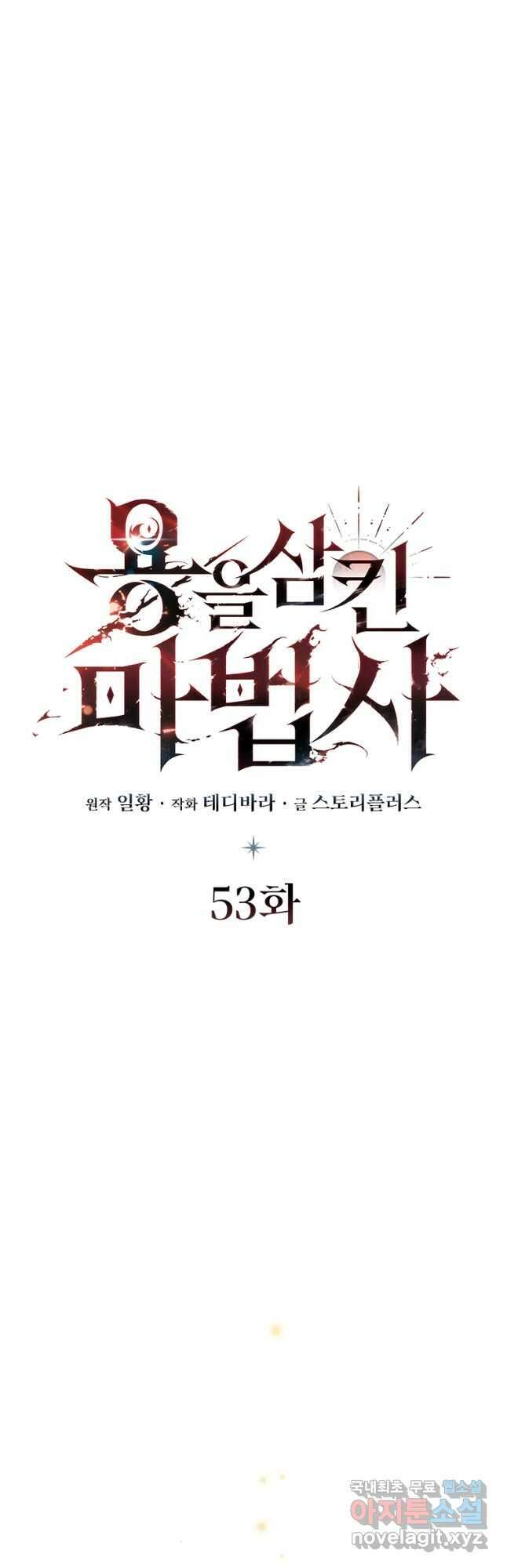 용을 삼킨 마법사 53화 14