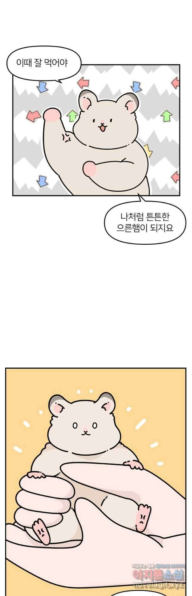 어쩌다 햄스터 11. 햄스터가 편식한다 2