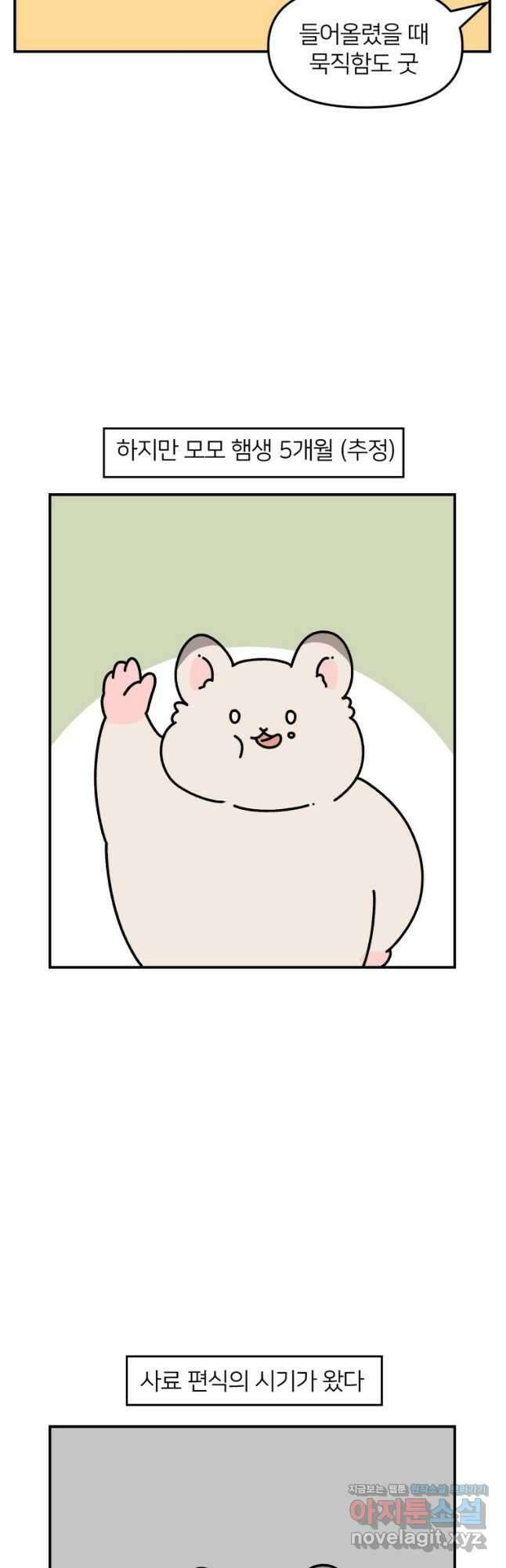 어쩌다 햄스터 11. 햄스터가 편식한다 3