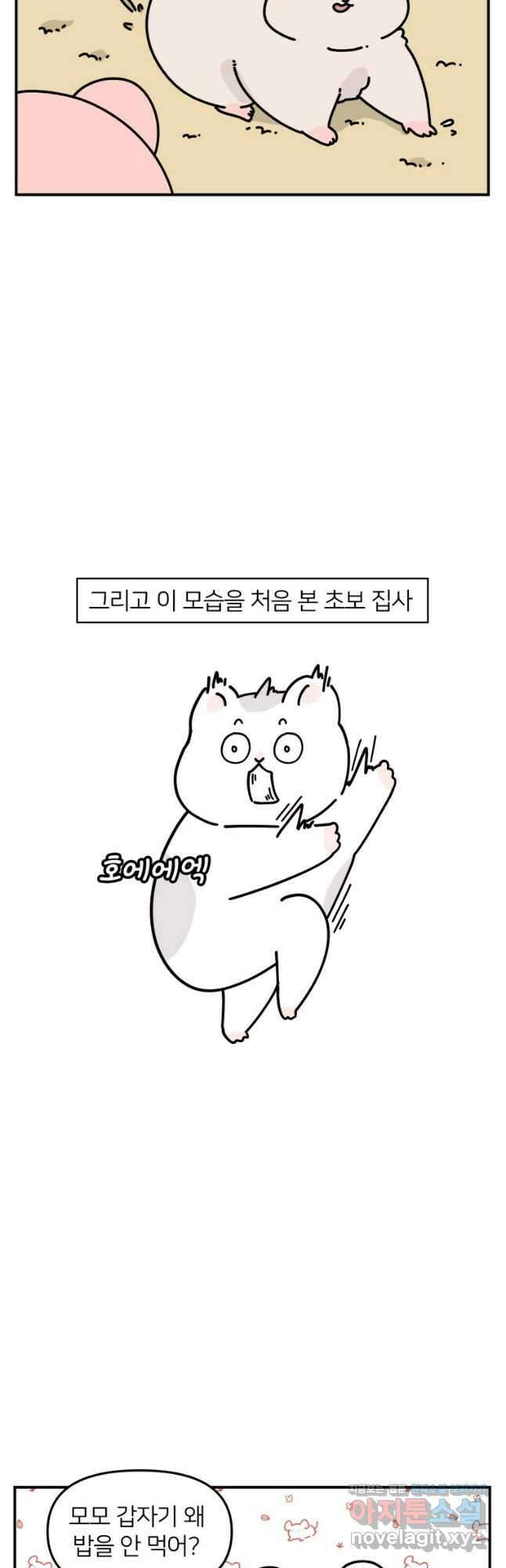 어쩌다 햄스터 11. 햄스터가 편식한다 8