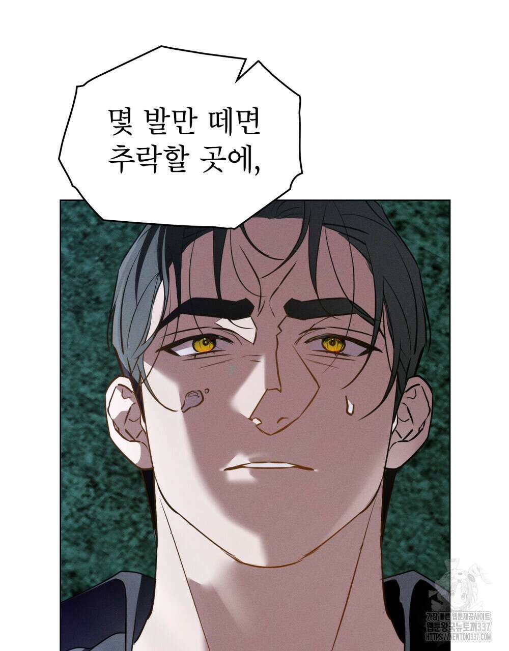 웨어울프 : 향기에 이끌린 늑대들 47화 39