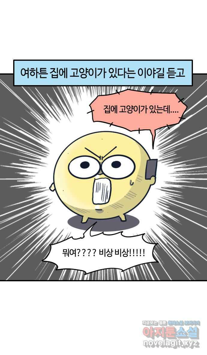 유부 감자 24화 반려묘 홍삼이 (2) 3