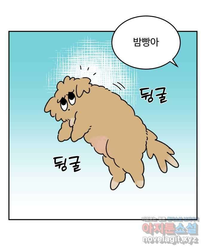 강아지는 멍멍하고 짖지 않아! 97화 - 산책이 싫어! 1 1