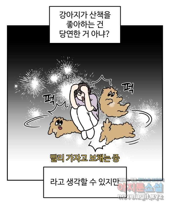 강아지는 멍멍하고 짖지 않아! 97화 - 산책이 싫어! 1 4