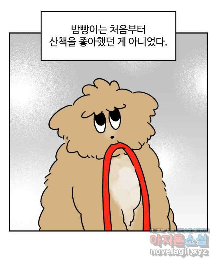강아지는 멍멍하고 짖지 않아! 97화 - 산책이 싫어! 1 5
