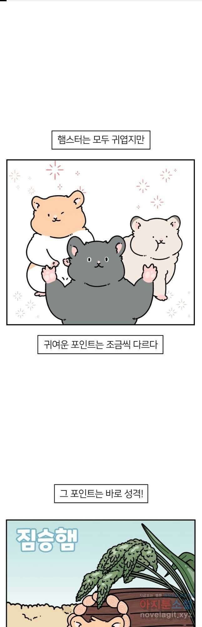 어쩌다 햄스터 13. 햄스터의 성격 1