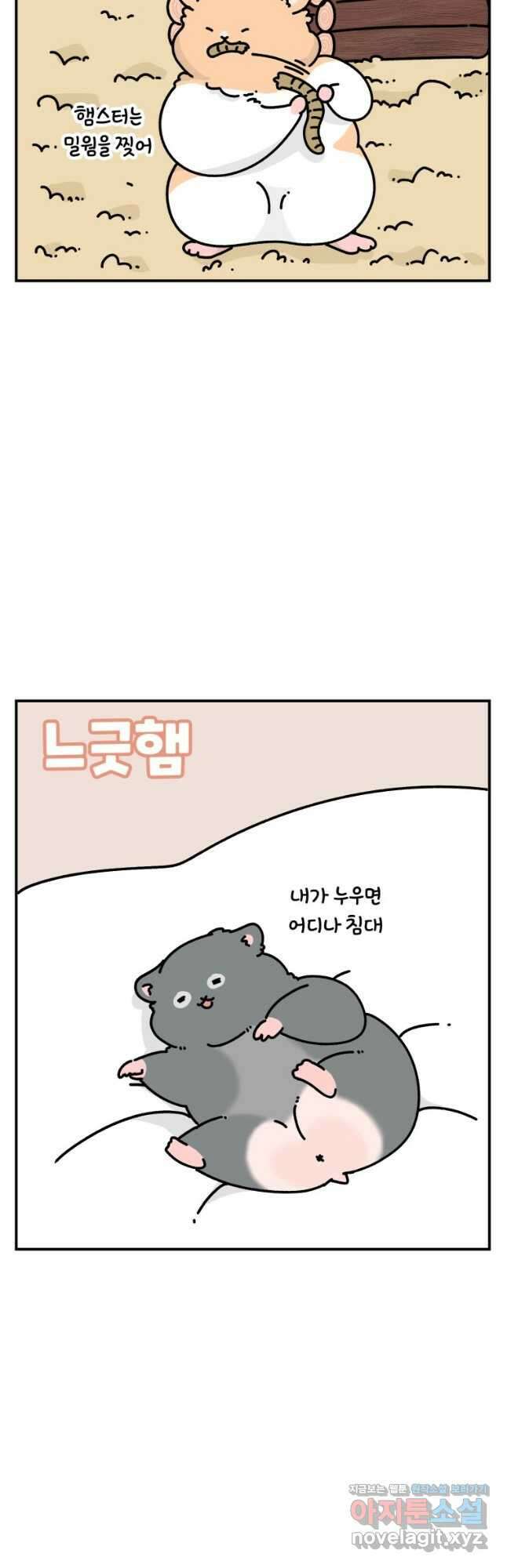 어쩌다 햄스터 13. 햄스터의 성격 2