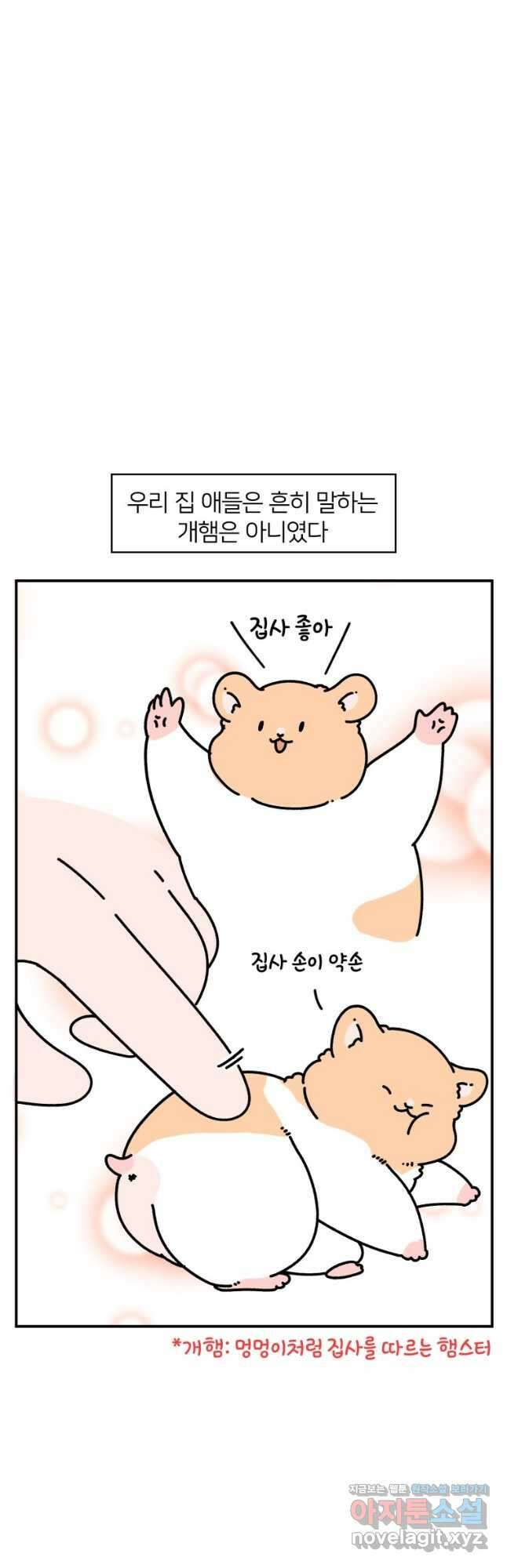 어쩌다 햄스터 13. 햄스터의 성격 6