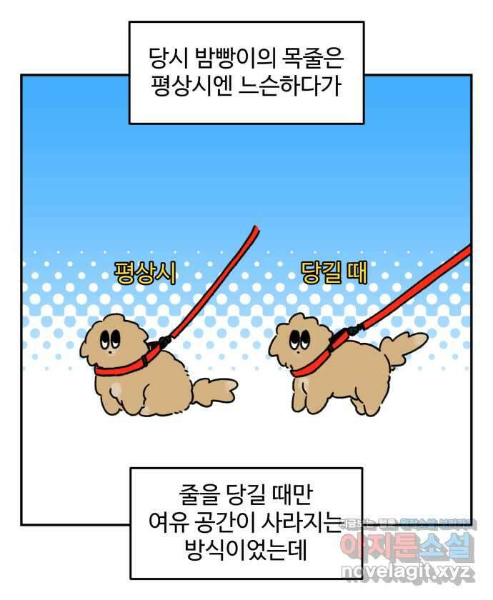 강아지는 멍멍하고 짖지 않아! 99화 - 목줄이 빠졌다! 3