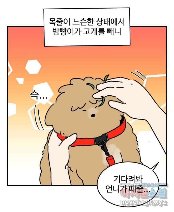 강아지는 멍멍하고 짖지 않아! 99화 - 목줄이 빠졌다! 4