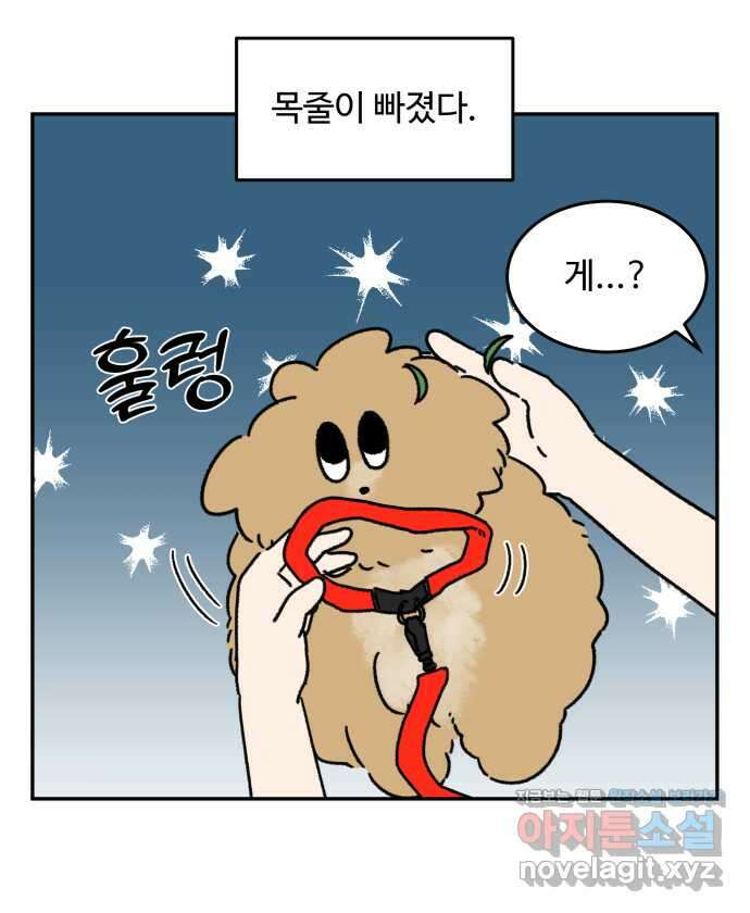 강아지는 멍멍하고 짖지 않아! 99화 - 목줄이 빠졌다! 5