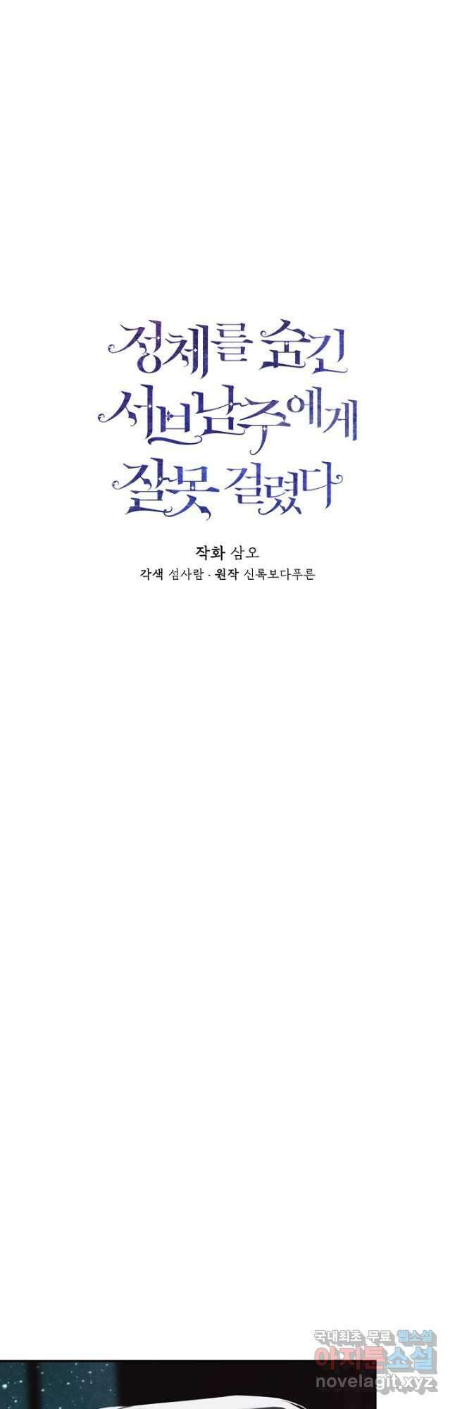 정체를 숨긴 서브남주에게 잘못 걸렸다 70화 11