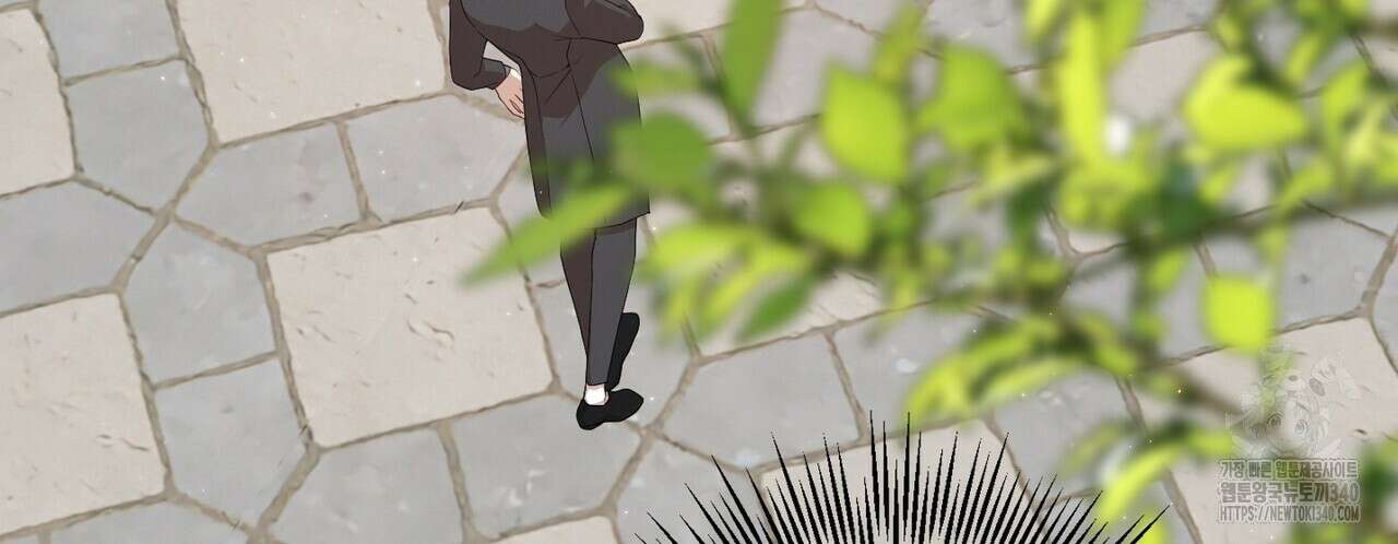 빙의물 여주의 언니입니다만 70화 16