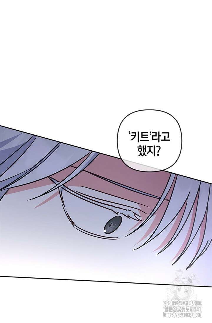 번데기 속 고양이 73화 71